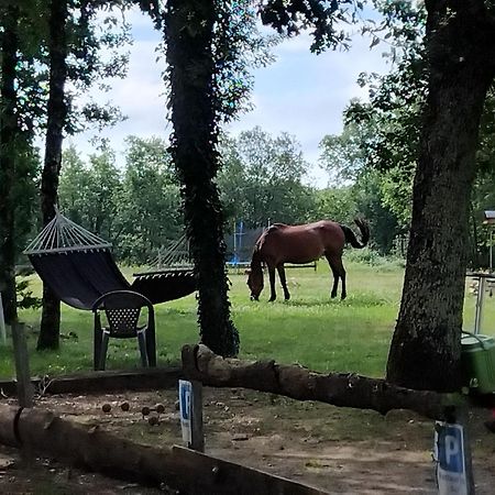 Maisonnette Pour Detente Ou Travail Saint-Aubin-de-Nabirat Dış mekan fotoğraf