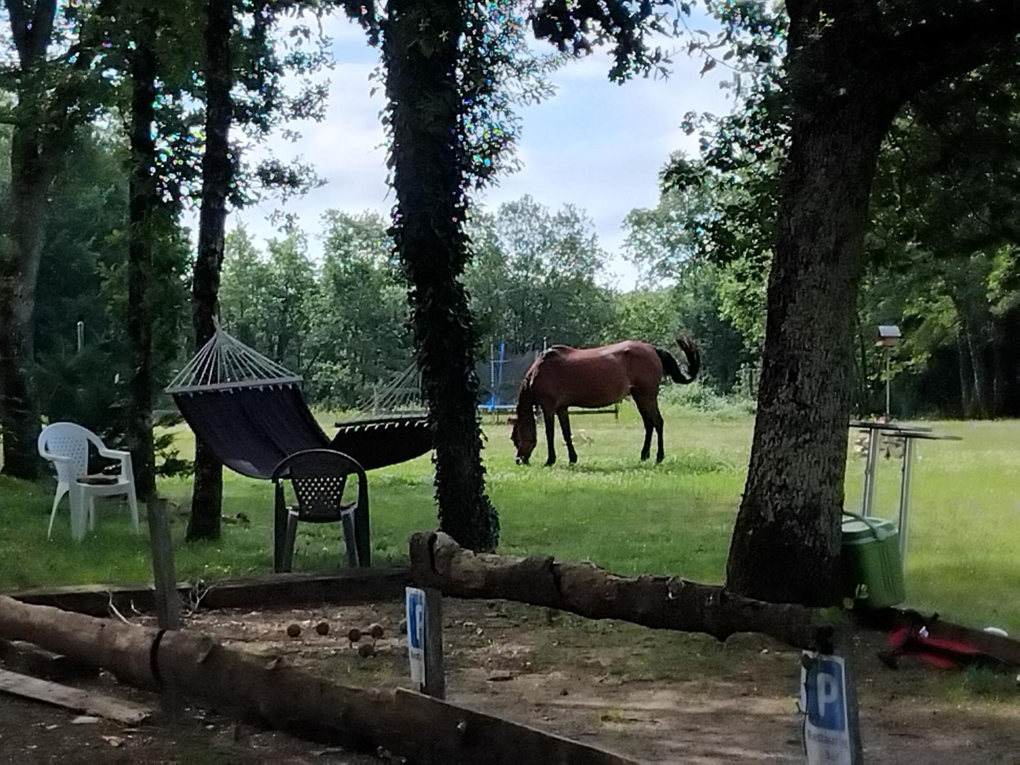 Maisonnette Pour Detente Ou Travail Saint-Aubin-de-Nabirat Dış mekan fotoğraf