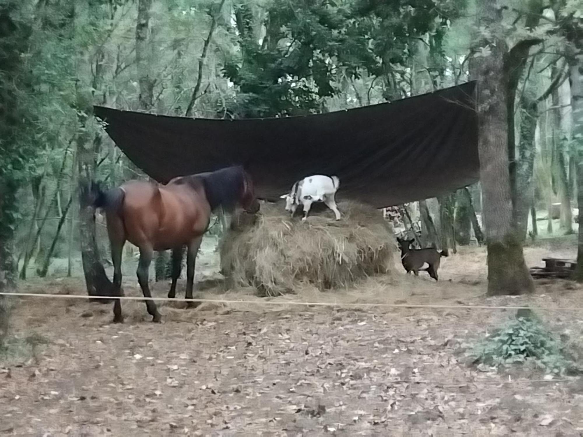 Maisonnette Pour Detente Ou Travail Saint-Aubin-de-Nabirat Dış mekan fotoğraf